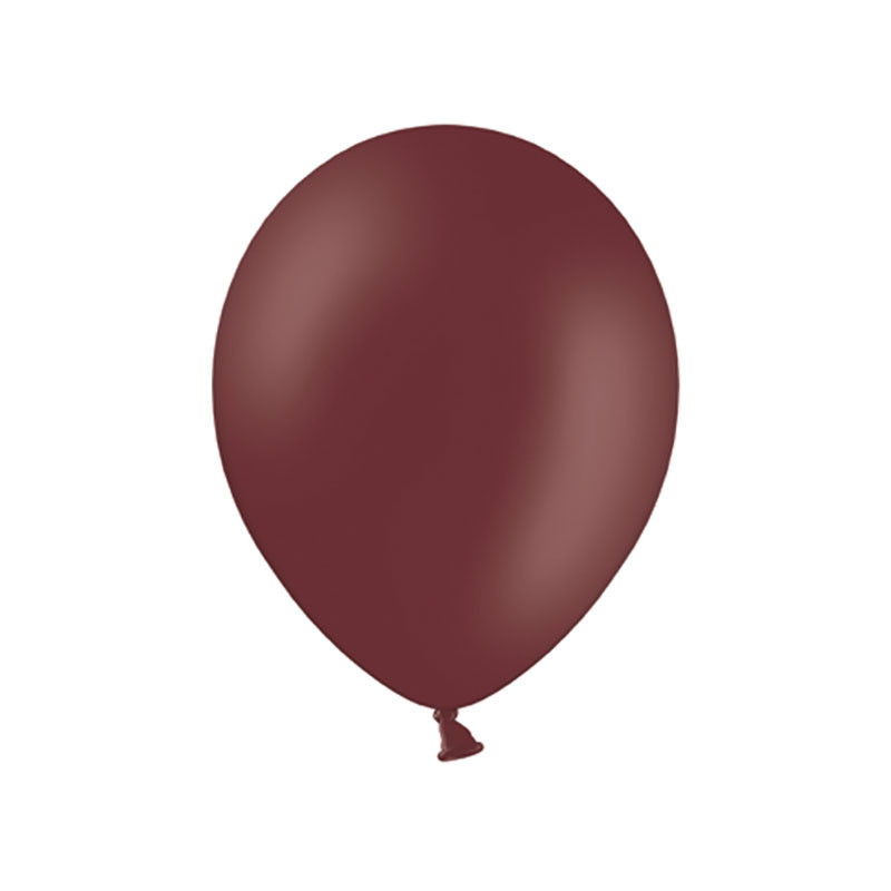 10 Ballons Latex 30 cm – Marron -  Party Deco