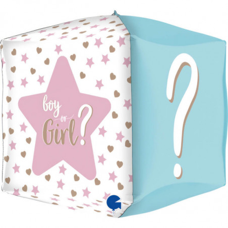 Square 15inc Gender Reveal 4D