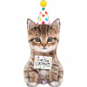 Ballon Alu Anniversaire Chat – Cue The Catfetti Cat – Grabo