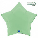 Ballon Alu Étoile Vert Pastel – 18" Matte Green – Grabo