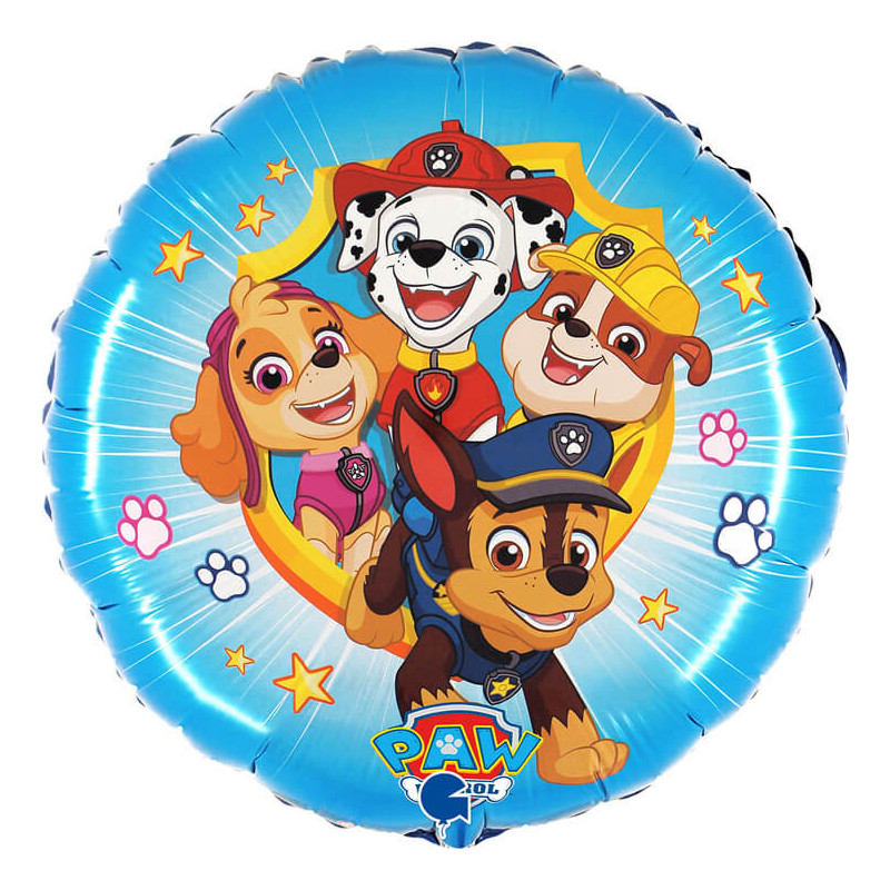 R18 Paw Patrol - Action