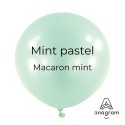 Ballons Latex 18" - 45 cm Mint Pastel Anagram